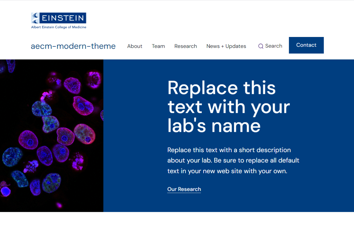 AECM Modern Lab screenshot