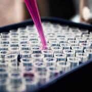 test tubes filled with green liquid