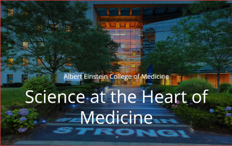 Science at the Heart of Medicine