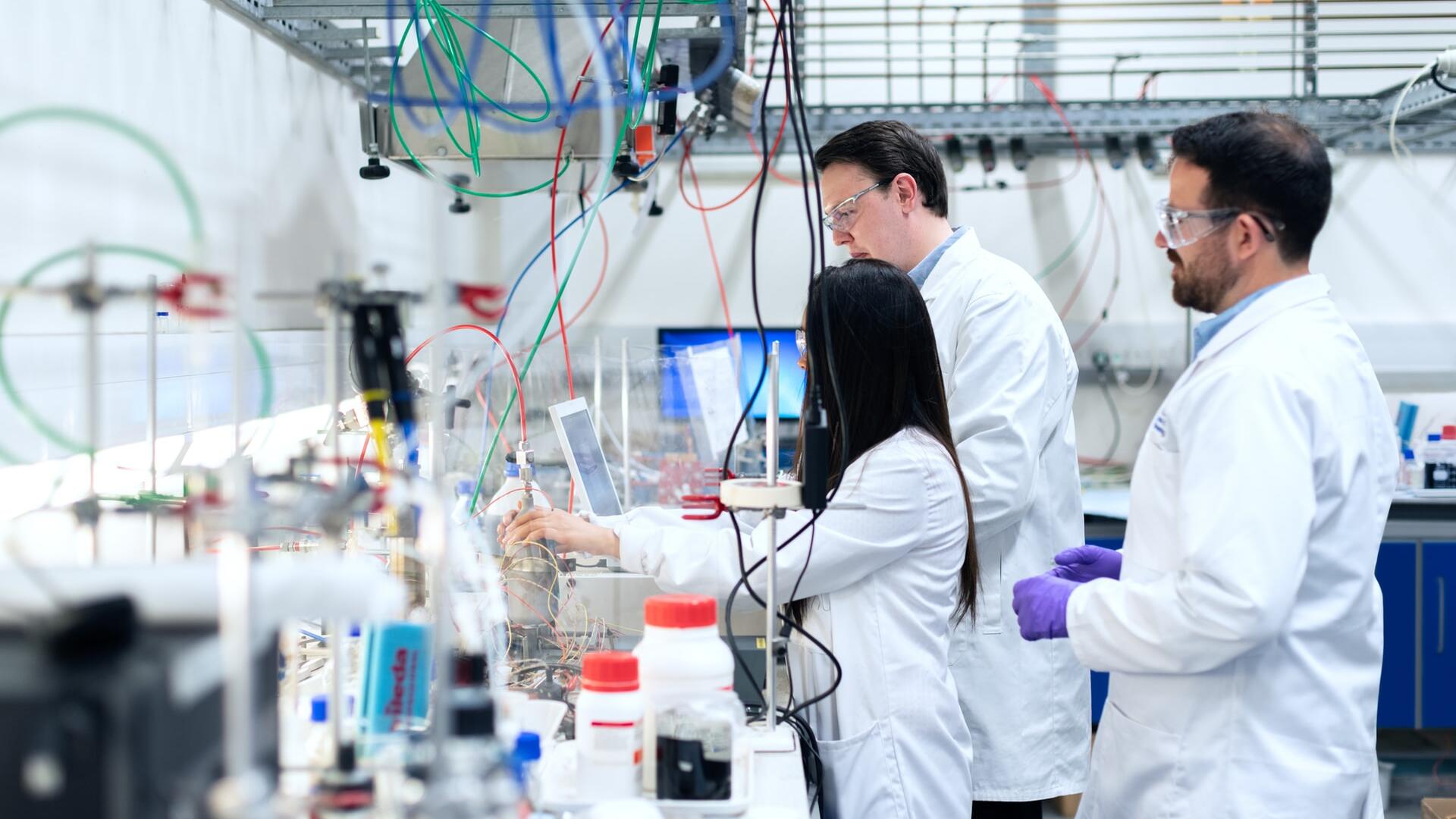 Lab